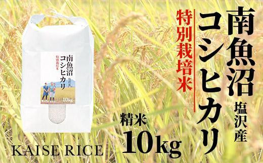 
南魚沼産塩沢コシヒカリ【従来品種】（特別栽培米８割減農薬）精米１０ｋｇ
