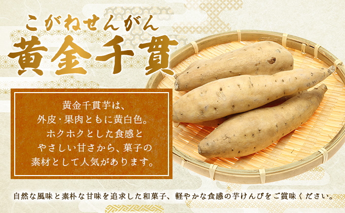 【6回定期便】芋けんぴ 合計1.32kg (110g×12袋) 海洋深層水仕込み 小分けセット 芋ケンピ 芋かりんとう いもかりんとう いもけんぴ 和菓子 芋スイーツ お菓子 国産 さつまいも サツマ