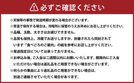 【先行予約】 岡山県産 ・ マンゴーの様な黄色い桃 ・ 黄金桃 2kg箱（約6個～9個） 【2025年8月上旬～2025年8月下旬発送予定】 ／ 桃 もも モモ 黄色 おうごんとう 黄金 おうごん ト