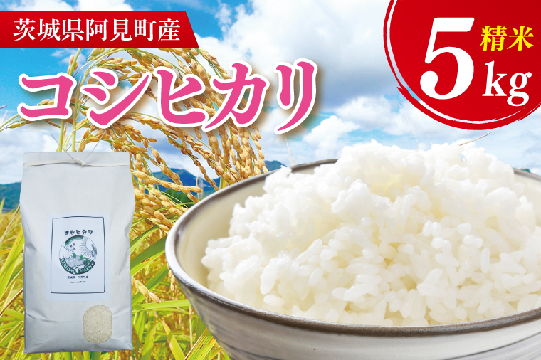 【先行予約】【10月中旬より発送】 コシヒカリ5kg【お米 白米 コシヒカリ こしひかり 精米 阿見町 茨城県】(71-02)