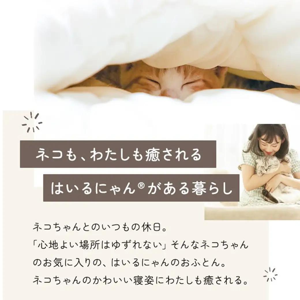 【アイボリー】ねこのおふとん「はいるにゃん(R)」Mサイズ〔11-J201-iv〕_(都城市) ねこのおふとん Mサイズ 幅50cm 長さ55cm アイボリー 日本製