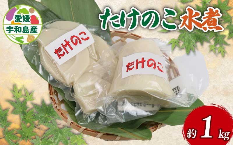 
                  たけのこ 水煮 1㎏ くり房 先行予約 国産 筍 タケノコ takenoko 料理 煮物 炊き込みご飯 おでん お手軽 便利 簡単 愛媛 宇和島 J010-204001
                