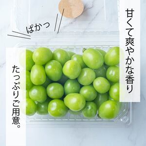 【2025収穫分先行予約】 シャインマスカット 2kg バラ粒 500g 4パック 小分け 新着 人気 シャインマスカット  愛媛県産シャインマスカット まつやましさんしゃいんますかっと マスカット 