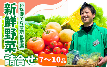 季節の野菜詰合せセット 8~10品 | 季節野菜 季節野菜 季節野菜 季節野菜 季節野菜 埼玉県 東松山市