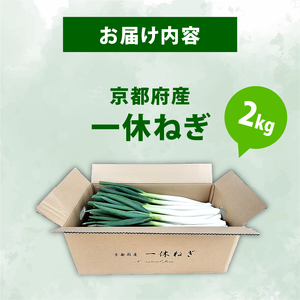 京都府産 一休ねぎ 2kg 白ネギ 白葱 葱 【 ねぎ 】