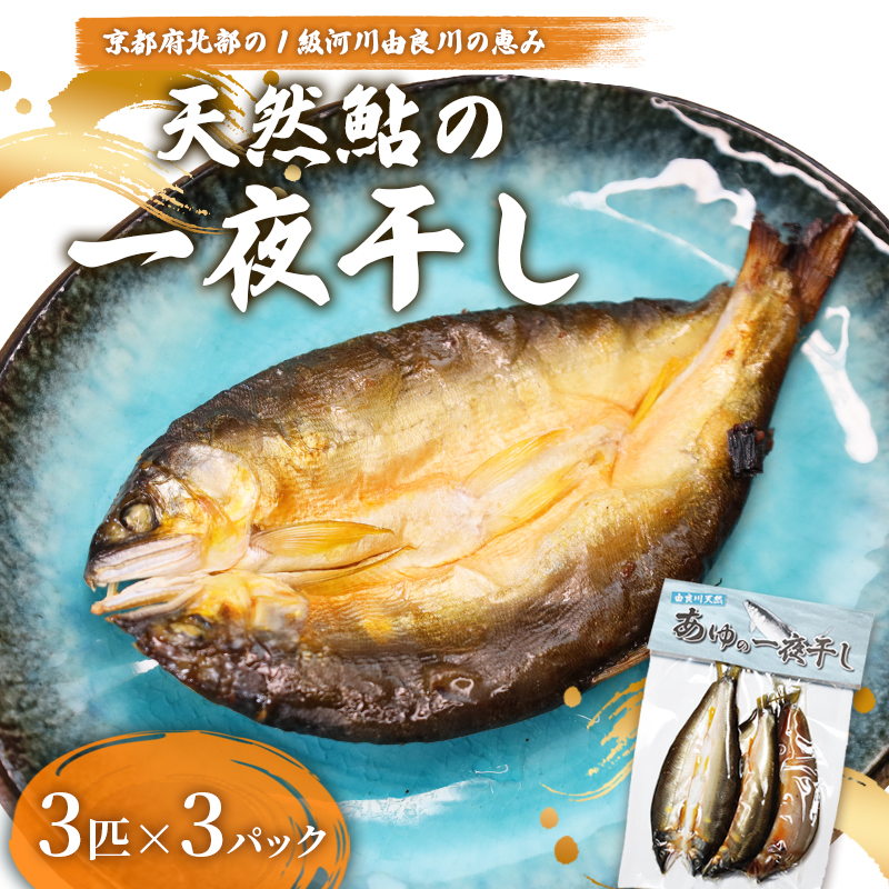 天然鮎 一夜干し 3パック（9匹） 【 由良川漁協 あゆ 鮎 アユ 魚 魚介 川魚 海鮮 一夜干し 鮎の一夜干し 干物 天然 熟成 舞鶴 京都 】