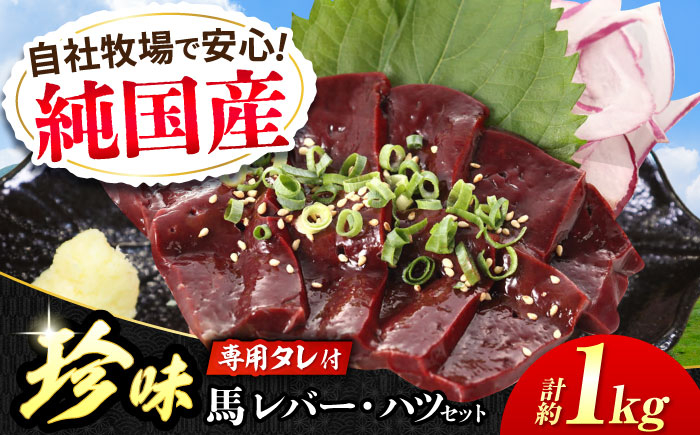 
            『純国産』熊本の味 馬 珍味 セット 計約1kg（約200g×5セット）レバー ハツ 刺身 タレ付 馬肉 希少 熊本 生レバー 生ハツ 【有限会社 九州食肉産業】 [AYCN019]
          