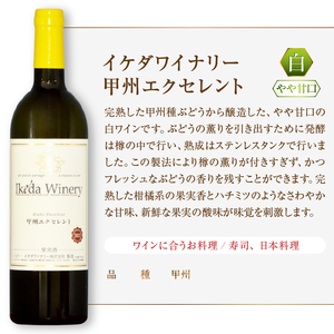 イケダワイナリー 2本セット【甲州エクセレント / セレクト白】（MG）B15-746【ワイン イケダワイナリー 白ワイン 甲州市 山梨県】