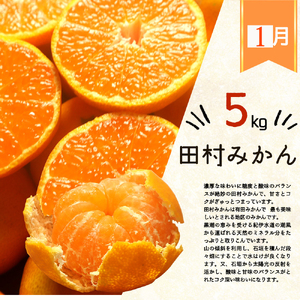 【3回定期便】 田村みかん・ポンカン・清見オレンジ 旬の柑橘定期便【tkb111】