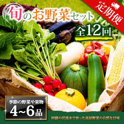 ふるさと納税 阿蘇市 【毎月定期便】季節のお野菜セットMサイズ 旬のお野菜を厳選してお届け全12回