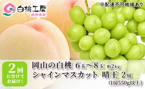 桃 ぶどう 2024年 先行予約 白桃 2kg シャインマスカット 晴王 2房 1房550g以上 2回に分けてお届け！もも 葡萄 定期便 岡山 国産 フルーツ 果物 ギフト 桃茂実苑 