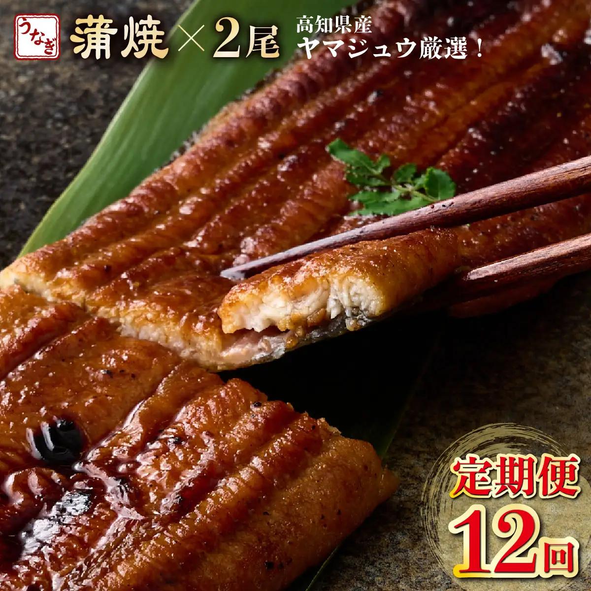 うなぎ蒲焼 2尾 定期便 12回 うなぎ