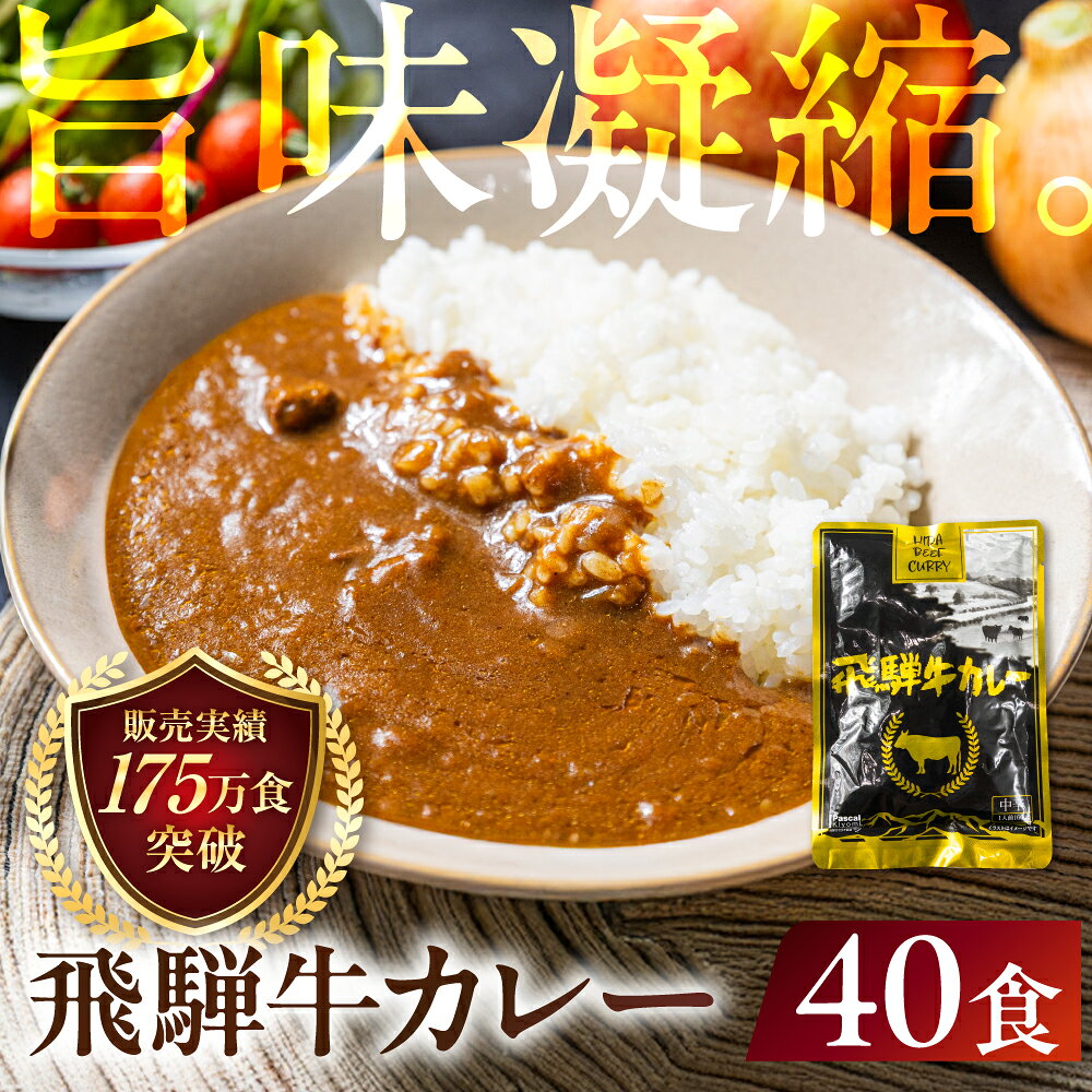 【ふるさと納税】飛騨牛カレー (40袋) | 常温配送 訳あり 飛騨牛 肉 牛 カレー ビーフカレー 簡易包装 レトルトカレー ご当地カレー 人気 おすすめ 発送時期が選べる 便利 飛騨高山 ふるさと清見 DC009VP