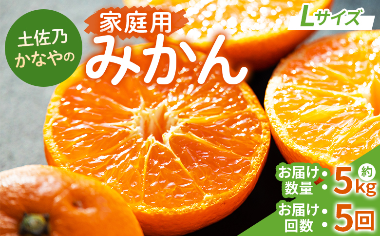 みかん 定期便 5回 土佐乃かなやの家庭用みかん5kg(Lサイズ)×5回 合計25kg - 定期便 数量 国産 早生みかん 極早生みかん グリーンみかん 蜜柑 ミカン 柑橘 果物 Wbe-0125