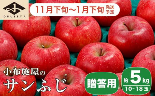 サンふじ 贈答用 約5kg 10～18玉 ［小布施屋］ りんご 林檎 リンゴ  果物 フルーツ 令和6年産【2024年11月下旬～2025年1月下旬発送】［A-209］