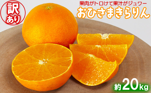 
                  [訳あり・優品] 12月発送開始 おひさまきらりん 約20kg【今村農園】 ジュースの塊 溢れる果汁 甘い ジューシー 美味しい ビタミン 九州 大分県 先行予約 20kg 12月 1月 発送 わけあり 柑橘類 フルーツ みかん 天草 あまくさ オレンジ おれんじ 家庭用 ＜107-022＞
                