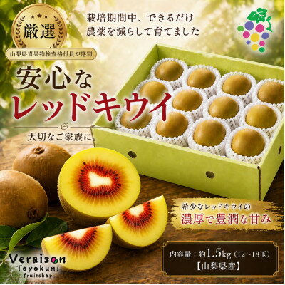 【ふるさと納税】【2026発送】レッドキウイフルーツ約1.5kg(12～18玉)山梨県産糖度18度以上農家直送【配送不可地域：離島】【1178165】