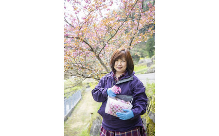 四万十川源流域の無農薬八重桜 [桜花爛漫 桜の花シロップ ]無添加 無農薬栽培の手摘み桜と高知県産オーガニックレモン 第34回グルメ＆ダイニングスタイルショー秋2023　ビバレッジ部門　審査員特別賞（