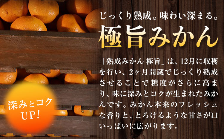 ＜先行予約＞ 熟成みかん『極旨』1箱 廣畠農園《2月初旬-2月末頃出荷予定》徳島県 佐那河内村 みかん ミカン 蜜柑 柑橘 箱入り 化粧箱 フルーツ 果物 くだもの 贈答 【配送不可地域あり】※離島-