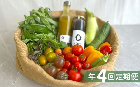 【年4回定期便】 季節の有機野菜セット 2～3人分  [AXBV009]  北海道 詰め合わせ