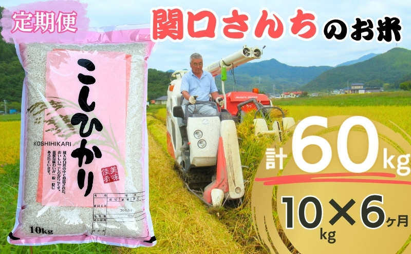 米 令和7年産 定期便 6ヶ月 関口さんちのお米 コシヒカリ 10kg お米 こめ コメ 精米 白米 ご飯 こしひかり 長野 信州 6回 半年 お楽しみ