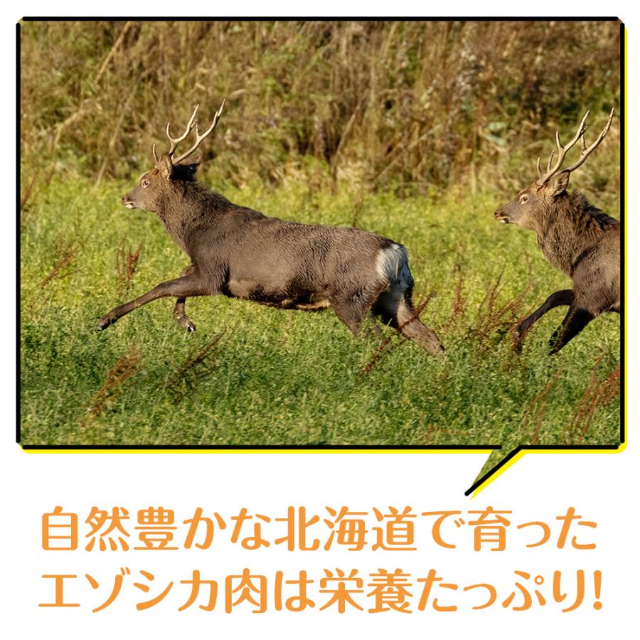 ふるさと納税 浜頓別町 犬 おやつ 無添加 国産  エゾ鹿 アキレス ジャーキー (100g)  犬用 |  | 01
