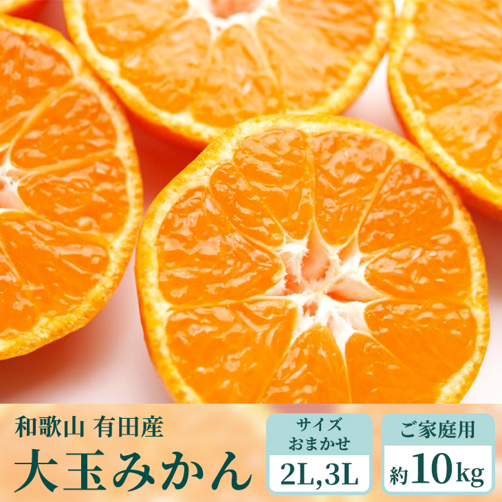 【ご家庭用】和歌山有田みかん約10kg(2L、3Lサイズ)◆ ※北海道・沖縄・離島への配送不可 ※2024年10月中旬～2025年1月下旬頃に順次発送予定