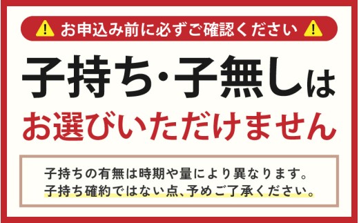 【簡易包装】【訳あり】網元直送！ 漁師厳選！ふくい甘えび（真空冷凍）300g × 2パック 計600g 無添加・無着色 【甘海老 あまえび アマエビ えび 海老 卵 有頭 刺身 生食 海鮮 海産物 魚貝類 魚介類 新鮮 冷凍便 小分け】 [A-13517]