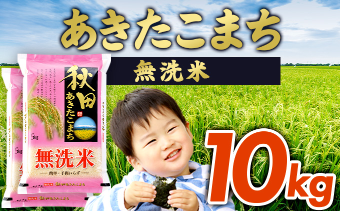 【令和6年産】あきたこまち無洗米 10kg　145P9202
