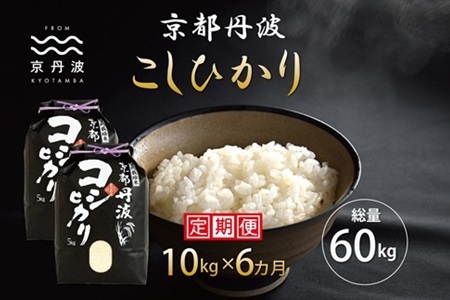 【6回定期便】 京丹波こしひかり 10kg×6カ月連続 合計60kg 令和6年産【 京丹波産 コシヒカリ  定期便  お米  米  白米  京都 】 [090MB003R]