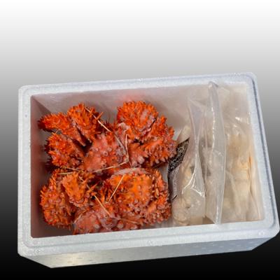 ふるさと納税 根室市 【北海道根室産】花咲かに500g〜650g×2尾、たこ唐揚げ×2P C-30075 |  | 01