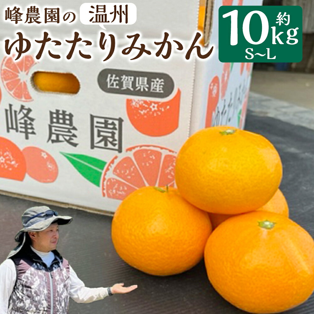 【ふるさと納税】峰農園のゆたたりみかん 10kg 温州 みかん ミカン 蜜柑 温州蜜柑 温州ミカン フルーツ くだもの 果物 佐賀県 太良町 ND11x1 【2026年11月発送予定】