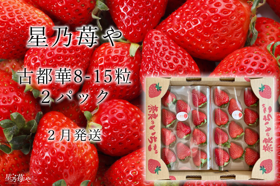 【先行予約】【古都華】2パック 2025年2月発送 ///苺 いちご イチゴ ストロベリー  古都華 奈良 奈良県 広陵町 生産者直送  直送 厳選 数量限定 旬 フルーツ 甘い 完熟 果物