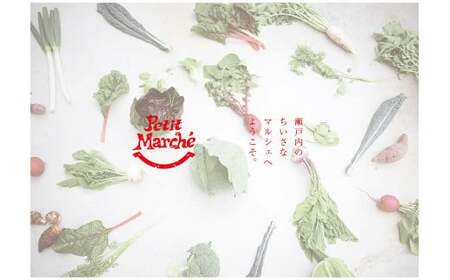 プチマルシェお野菜ボックス(Ｍ)　季節の野菜８～９種類　≪　IDOMALL　セレクト≫_mk048-004