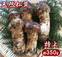 【ふるさと納税】 松茸 【期間限定】岩手県産 天然松茸 約350g【特上】