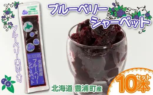 北海道 豊浦町 ブルーベリーシャーベット 10本 シャーベット フルーツ ブルーベリー デザート スイーツ 