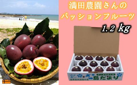 【先行予約】満田農園さんのパッションフルーツ（約1.2kg） ( 旬 パッション フルーツ 果物 島フルーツ 酸味 甘み 徳之島 奄美 鹿児島 プチプチ 食感 果汁 フレッシュ 美味しい 美容 )	