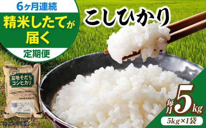 【全6回定期便】 米 盆地そだちこしひかり 5kg 令和7年産 米 こめ 白米 精米 ご飯 三次市 / 福田農場 [APBM030]