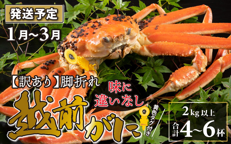 
【先行予約】【訳あり】越前がに 4～6杯 （合計2kg以上） 脚折れ【2025年1月～3月発送予定】
