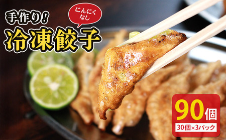 冷凍餃子 にんにくなし 90個 餃子