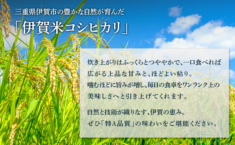 【特A評価・6ヶ月定期便】令和7年産 伊賀米コシヒカリ15kg（精米）　お米 米 白米 こしひかり ごはん 三重県 名張市