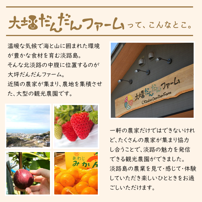 淡路島の温暖な気候で育ったいちご・いちじく・みかんを使った３種のフルーツジャムセット_イメージ2