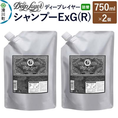 ふるさと納税 滑川町 ディープレイヤー シャンプー ExG 詰替 750mL×2個|19_sss-230201