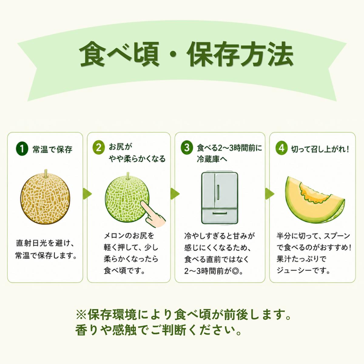 メロン ころたん めろん コロタン フルーツ 2玉 果物