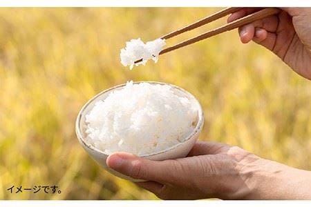 とくべつの中のとくべつ 糸島特別栽培米3kg（夢つくし）《糸島》【株式会社やました】 [ARJ003] 農家さんが手間ひまを惜しまず愛情たっぷり育てた糸島米