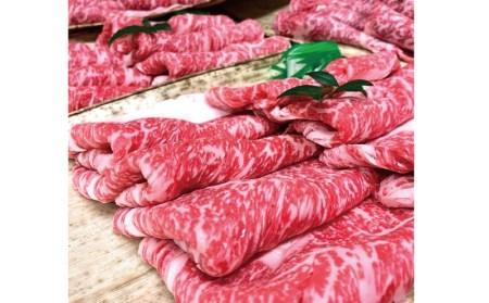 すき焼き 牛肉 すき焼き肉 肉 牛 贈り物 / プレミアム熊野牛 すき焼き　４８０ｇ【kbs007】