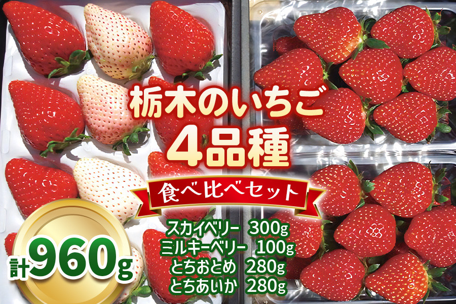 
栃木のいちご4品種 食べ比べセット｜とちあいか とちおとめ ミルキーベリー スカイベリー いちご 苺 フルーツ 果物 アソート 産地直送 [0524]
