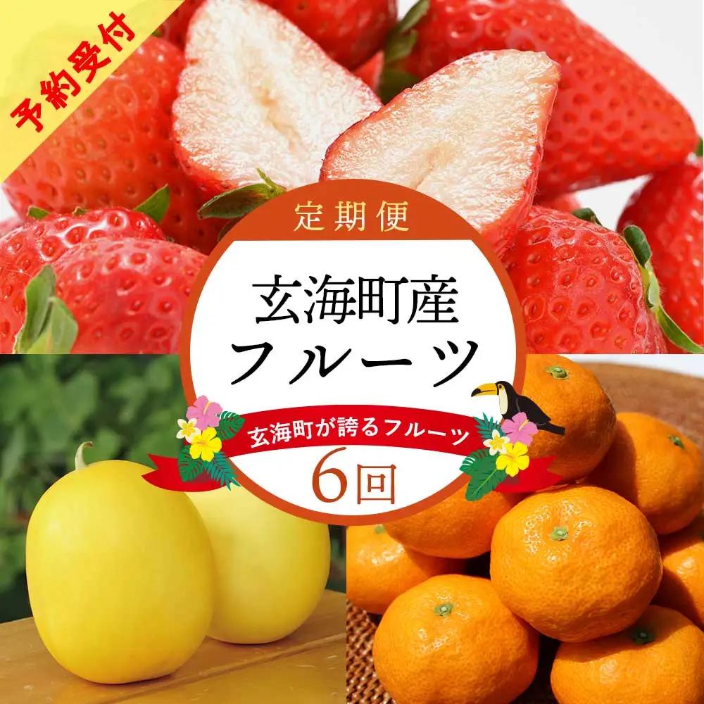 【6回定期便】旬のフルーツ定期便 ／ いちご キンショウメロン みかん 果物【Z020】