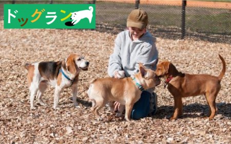 【愛犬と楽しいひと時を！】Cafe 百笑茶屋＆ドッグランで使える共通 チケット [UAZ002] ドッグラン 入場券 利用券 券 ペット 愛犬 カフェ ランチ 佐賀 武雄市