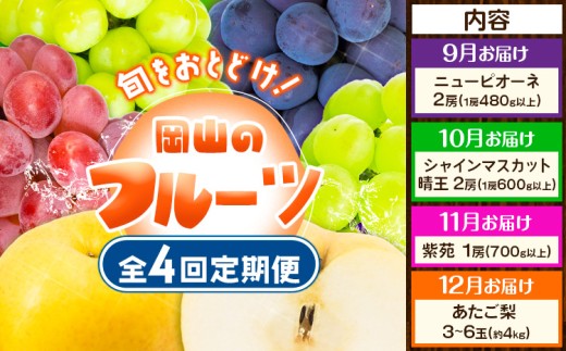 【4回定期便】【2027年先行予約】ぶどう 梨 岡山のフルーツ定期便 4回コース 岡山県産 シャインマスカット 晴王 ニューピオーネ 紫苑 あたご 株式会社山博《2027年9月上旬-12月末頃出荷》岡山県 笠岡市 フルーツ 果物 ぶどう あたご梨 マスカット お取り寄せ【配送不可地域あり】